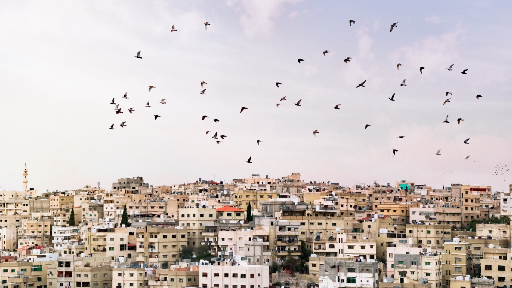تنمية المجتمع